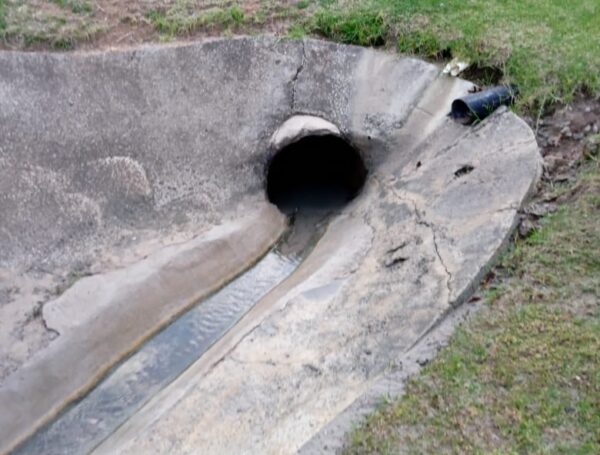 Drain Cleaning